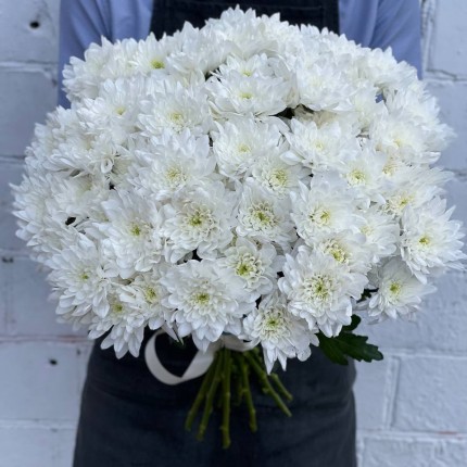 Белая кустовая хризантема - купить с доставкой в по Муслюмово