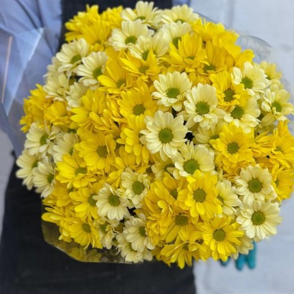 желтая кустовая хризантема - купить с доставкой в по Муслюмово